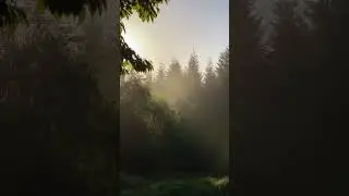 A morning in words  #relaxnature #beautiful #world