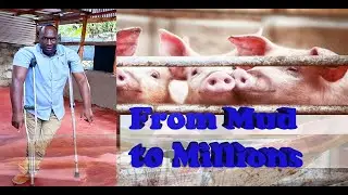 From Mud to Millions: My Pig Farming Success Story #piglets#piglove#pork#farmlife#ufugaji