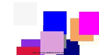 Video #web-pkg-20200218-011313-822052