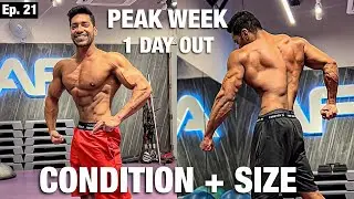 Condition Or Size Dekh Kar Hil Jaoge | Peak Week | Road To Sheru Classic | Ep. 21