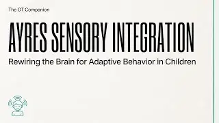 Ayres Sensory Integration (ASI) Explained: Rewiring the Brain for Adaptive Behavior in Children