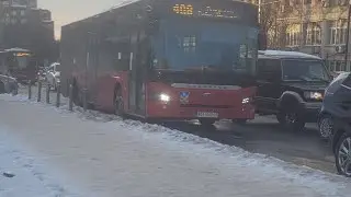Linija 408: Voždovac-Ralja/Drumine (cela trasa)