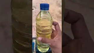 Original shak oil, made from atlantic shark liver #shorts #shark #shortvideo