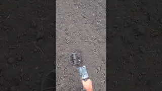Облом на поле. #видео #metaldetecting #находкисметаллоискателем #история #облом