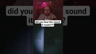 Got jumpscared by the goofiest guy