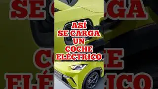 AS&Iacute; SE CARGA UN COCHE EL&Eacute;CTRICO CHINO BYD⚡️🔋✅ #byd #dolphinmini