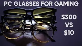 $300 VS $10 PC GLASSES FOR GAMING/WORK