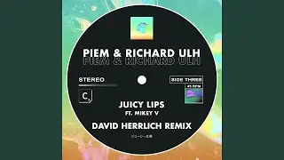 Juicy Lips (feat. Mikey V) (David Herrlich Remix - Extended Mix)