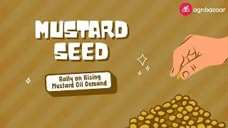 Mustard Seed Prices Surge 24% YoY ! | agribazaar