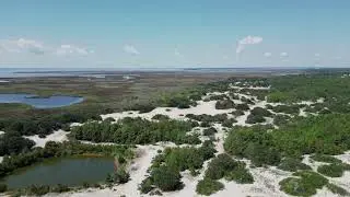 Outer Banks Real Estate Live | Active Lots & Homes in Corolla, Carova & OBX