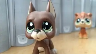 Littlest Pet Shop: Best Friends (díl #1: Nový začátek)