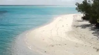 kehnyibi.wmv kaneka iaai
