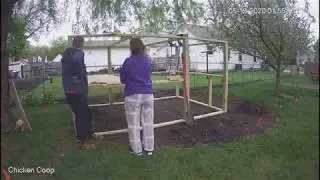 Chicken Coop with run, Day 5