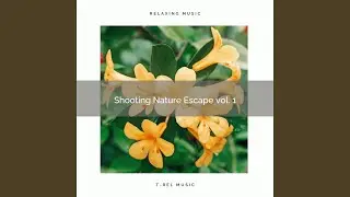 Experience Hard Sleep with Unique Nature Music for Relax