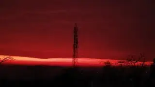 Dali vlogs