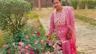 official Priyanka Mishra  is 🙏🏻live! गुड नाइट माय यूट्यूब फैमिली राधे-राधे