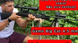 Gamo Big Cat - Vale a pena ?
