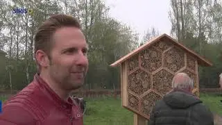 Plaatsing insectenhotel