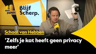 De Camera Die Je Kat Filmt Alsof Hij In Een Natuurdocumentaire Zit | Schaal van Hebben