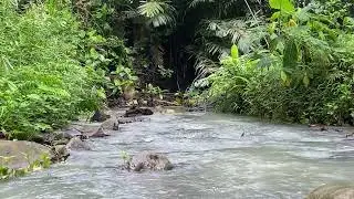 4K Immersive Water ASMR - Beautiful Freshwater Creek and Calming Water Sounds