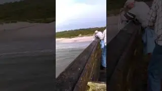 Fishing in Myrtle Beach Pier