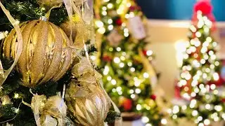9th Annual SeaFestival of Trees