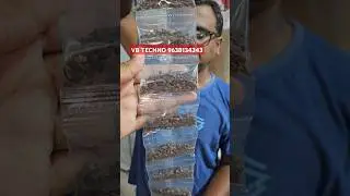 Khada Masala Packing Machine