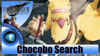 Final Fantasy 7 Remake - Chocobo Search Side Quest Nr. 17 - Find the Three Runaway Chocobos