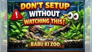 Easy Planted Aquarium Setup 🌿🐠 | Step by Step (Beginner Friendly) #pets #shortvideo #shorts #fish