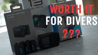 GoPro Hero 13: Should Scuba Divers Buy This Camera? Tampa Bay Diving Review #GoPro #goprohero13
