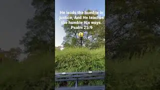 Lord teach me your way and lead me to justice #Psalm 25:9#shorts