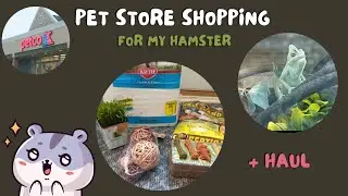 Hamster Supply Shopping + Haul! 🛍️🐹