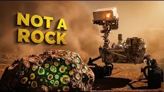 Scientists Are Shocked By What They Found Inside This Mars Rock
