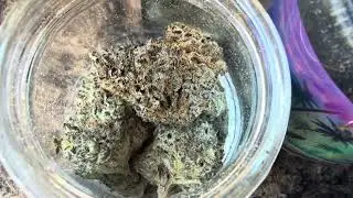 Tell me thca small buds isn&rsquo;t fire #thedankflamingo #thcabud #thcaweed #thcaflower #thca 