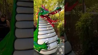 DRAGON RIDE #dragons #dragon #zoo #dragonride #ride #monsters #summerfun