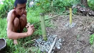 Primitive Technology :  Make bamboo tools to roast meat or fish