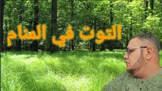 تفسير رؤية التوت الأسود والأبيض خير كثير قادم لمن رأه في منامه🍇🍇