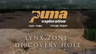 Зона обнаружения рысей (Lynx Zone Discovery Hole) &mdash; исследование Пумы (TSXV: PUMA)