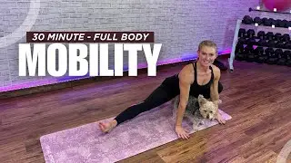 30 Min - Full Body Mobility & Strength Flow : Muscle Magic