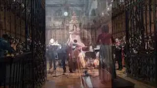 F.A.Hoffmeister Concerto n.1/ Viennese Bass 1.mov