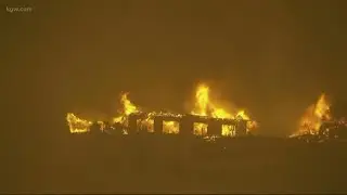 VERIFY: How to help wildfire victims