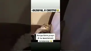 Мем #147 #shorts #мем #шутка #прикол #юмор #смешно #смех
