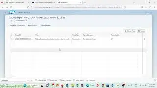How to create Annual Audit Report and Proposed Draft Para or Draft Para in AMIS SAP Custom App
