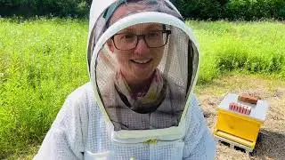 One Week After The Swarm