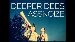 DEEPER DEES : Assnoize