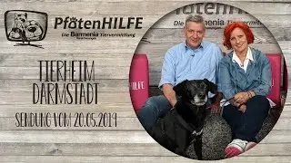 Pfotenhilfe aus Darmstadt- 20.05.19