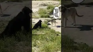 AKSARAY MALAKLISI KURT ADAM G&Ouml;R&Uuml;NCE