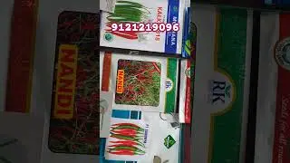 #chilli #best #variety #in #telangana #andhrapradesh #2025 #shorts #trending #support #agriculture