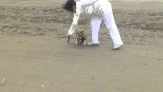 Мячик на пляже