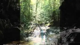 Vermont State Parks Photos:  Gifford Woods State Park